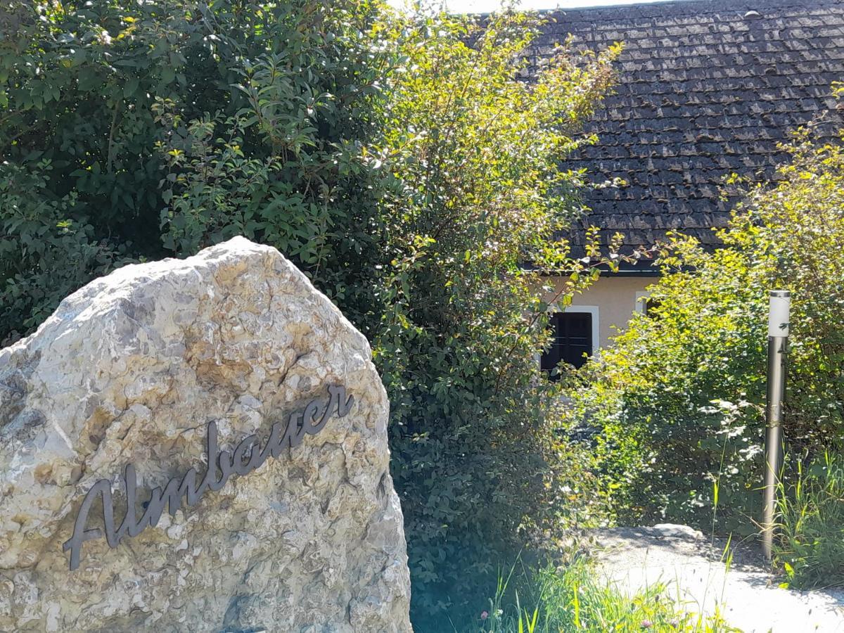 דירות ויידהופן אן דר איבס Miniponyhof Biohof Almbauer מראה חיצוני תמונה