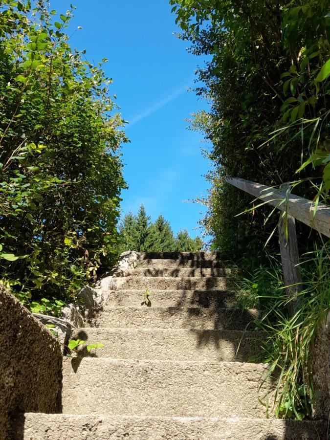 דירות ויידהופן אן דר איבס Miniponyhof Biohof Almbauer מראה חיצוני תמונה